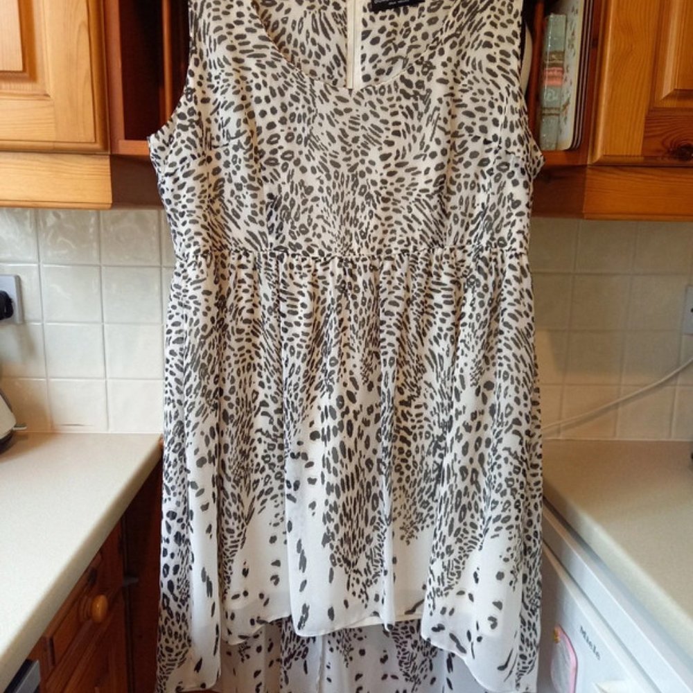 Dorothy Perkins Dress Size 20